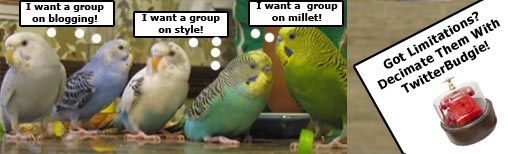 Why Use TwitterBudgie?
